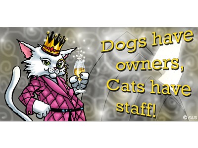 Dogs Have Owners Cats Have Staff Elite Sign